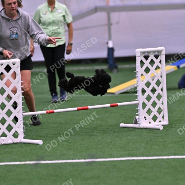 Winston-Madison-Canton-09079