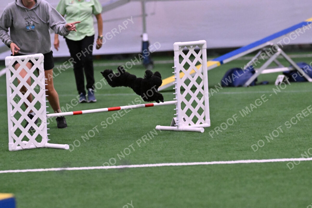 Winston-Madison-Canton-09080