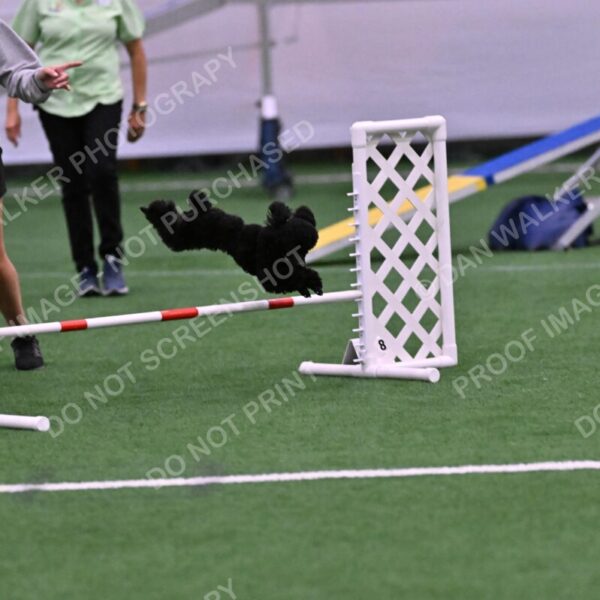 Winston-Madison-Canton-09080