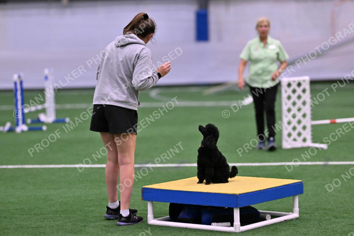 Winston-Madison-Canton-09085