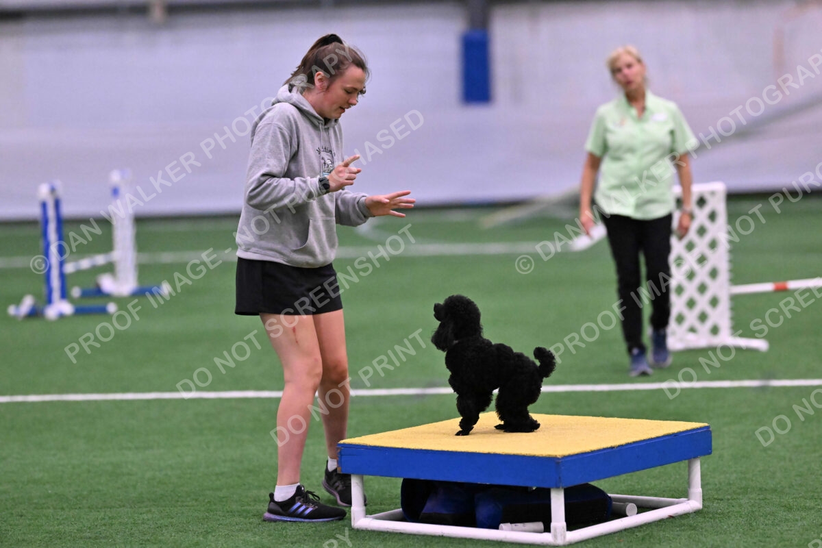 Winston-Madison-Canton-09089