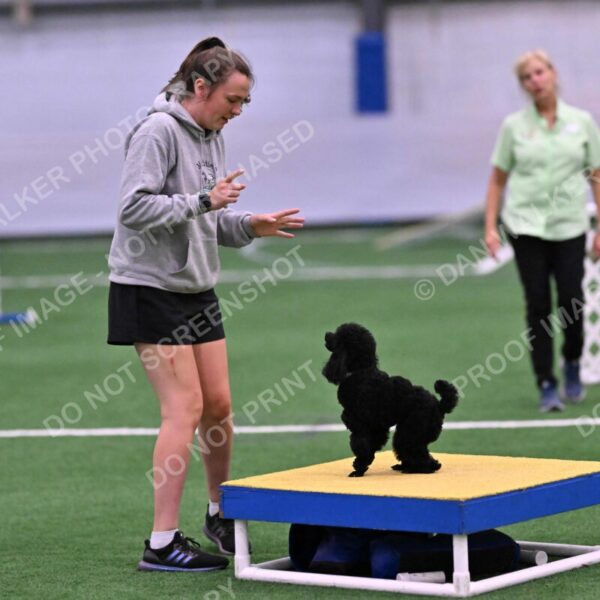 Winston-Madison-Canton-09089