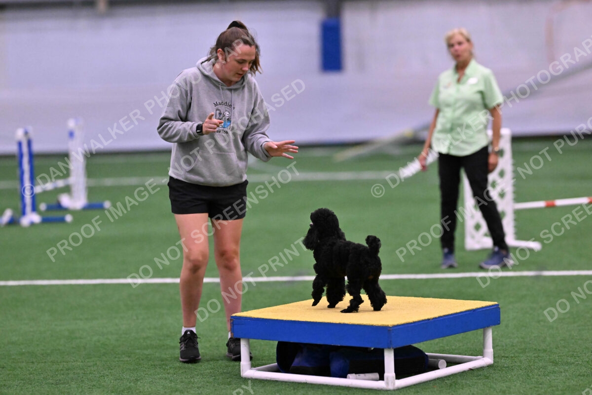 Winston-Madison-Canton-09092