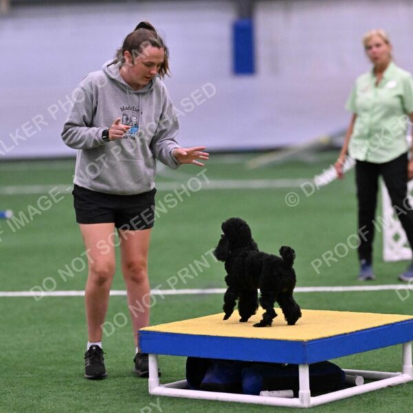 Winston-Madison-Canton-09092