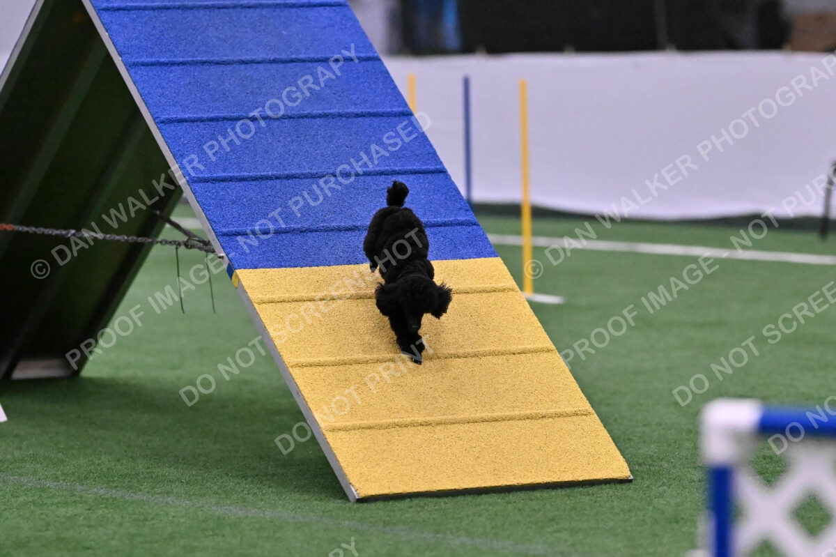 Winston-Madison-Canton-09102