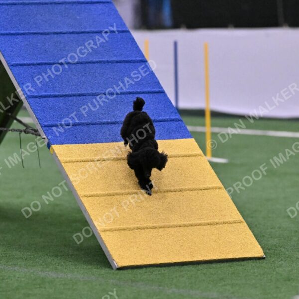 Winston-Madison-Canton-09102