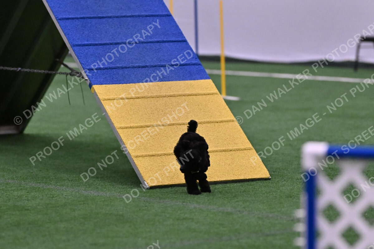 Winston-Madison-Canton-09105