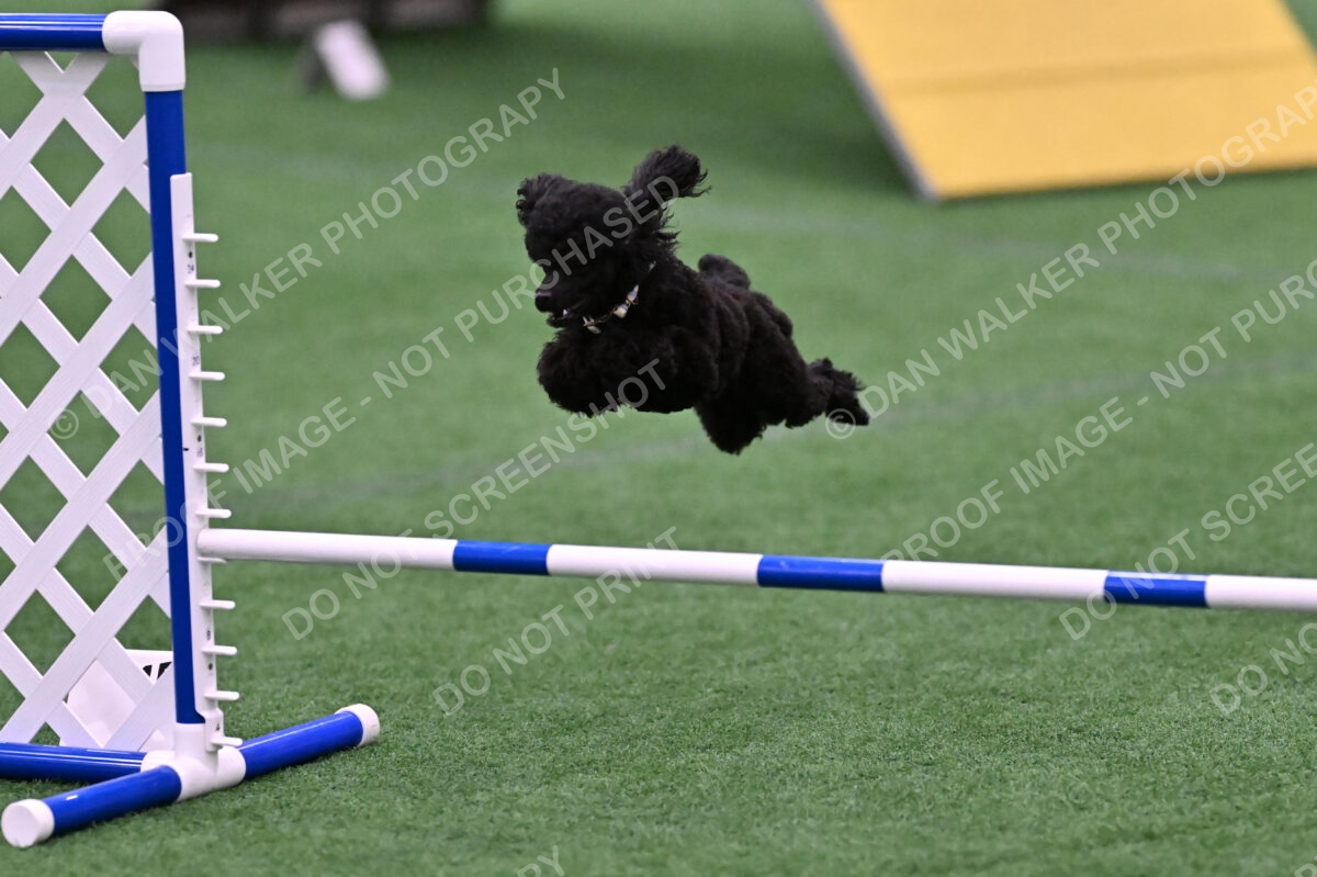 Winston-Madison-Canton-09108