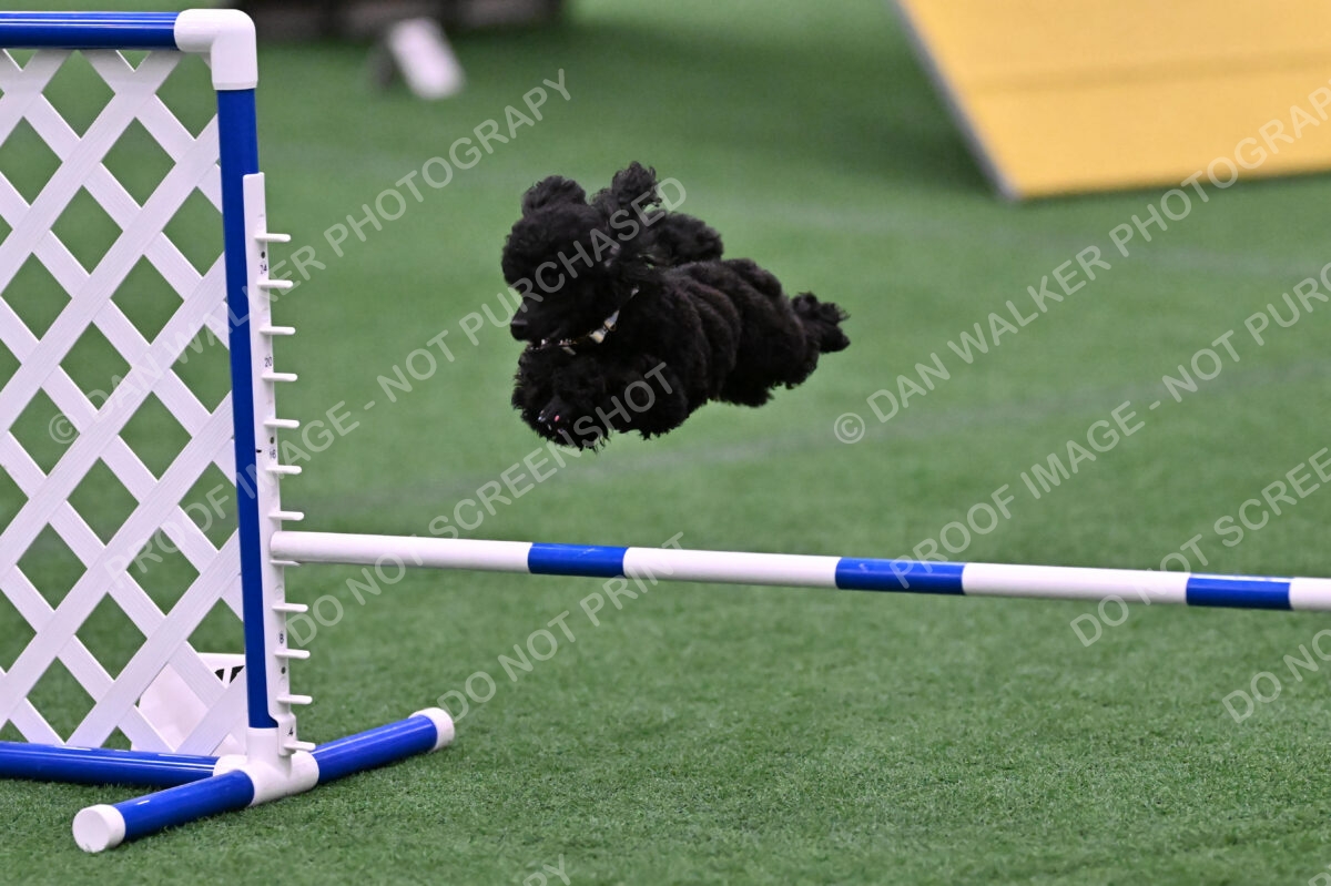 Winston-Madison-Canton-09109