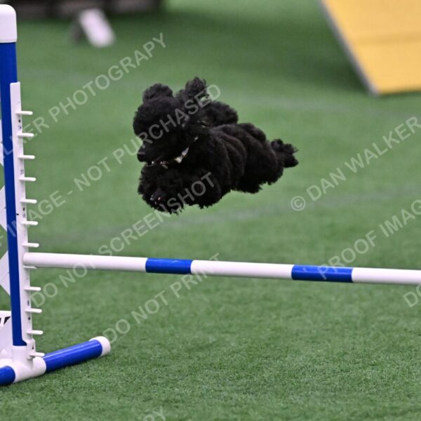 Winston-Madison-Canton-09109