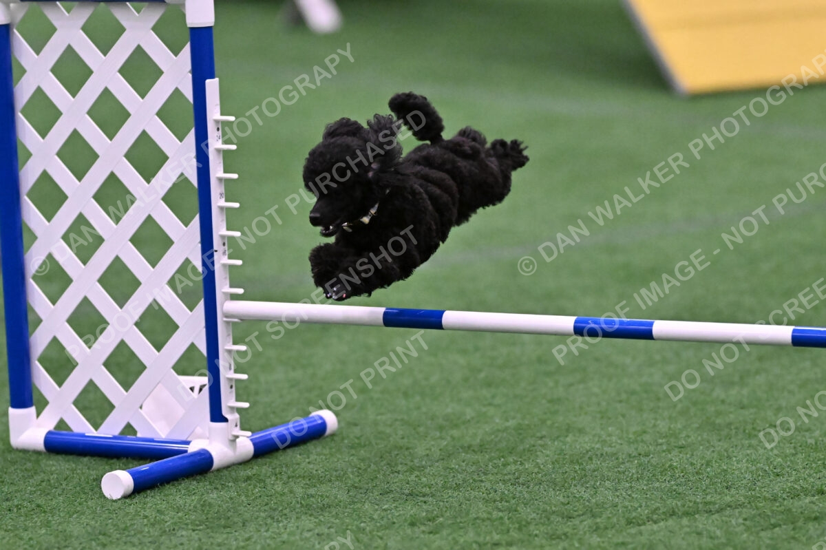 Winston-Madison-Canton-09110