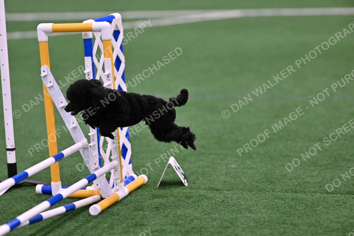 Winston-Madison-Canton-09119