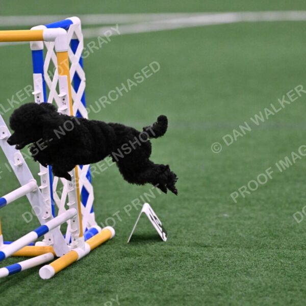 Winston-Madison-Canton-09119