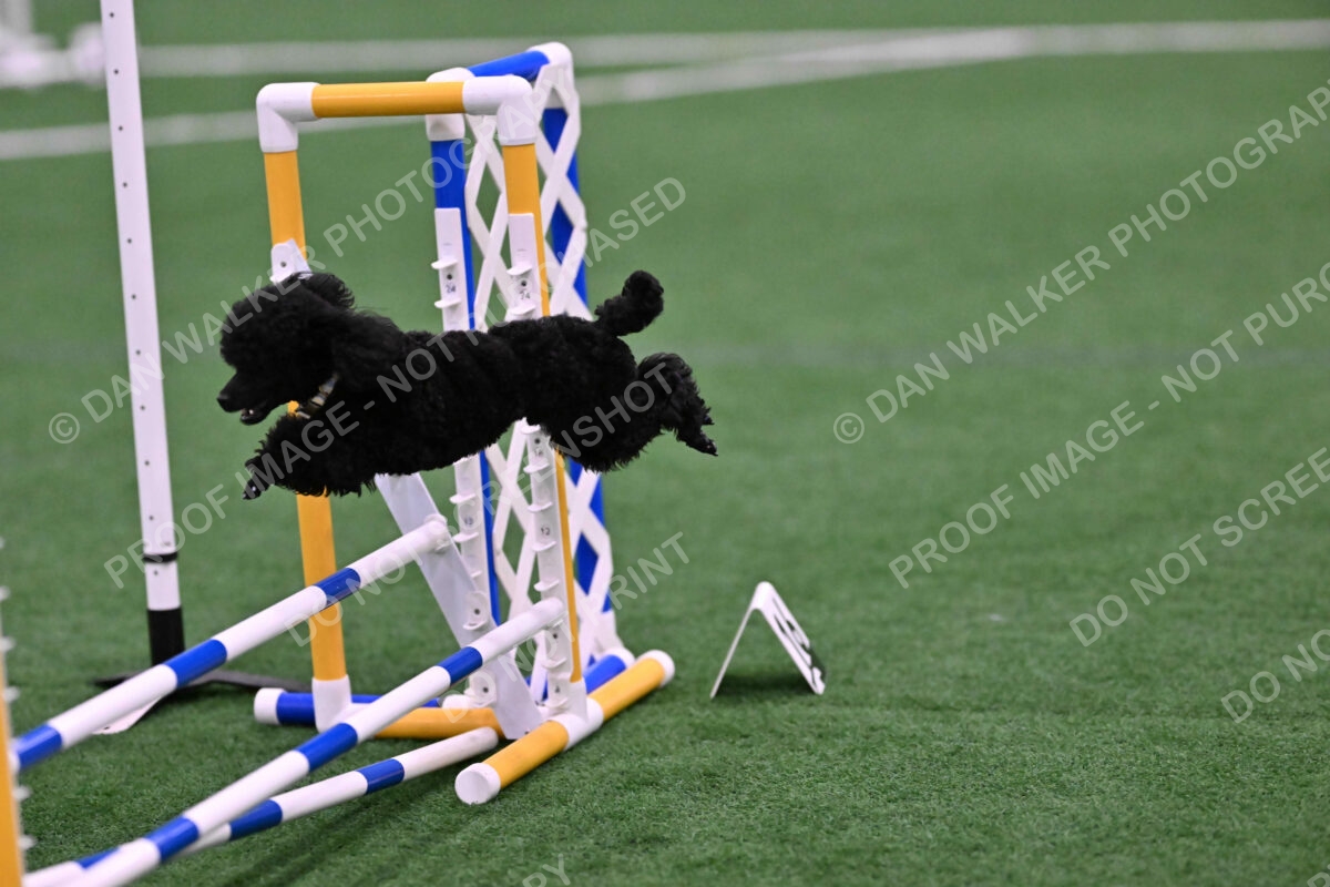 Winston-Madison-Canton-09120