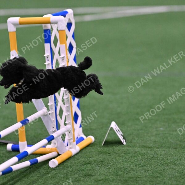 Winston-Madison-Canton-09120