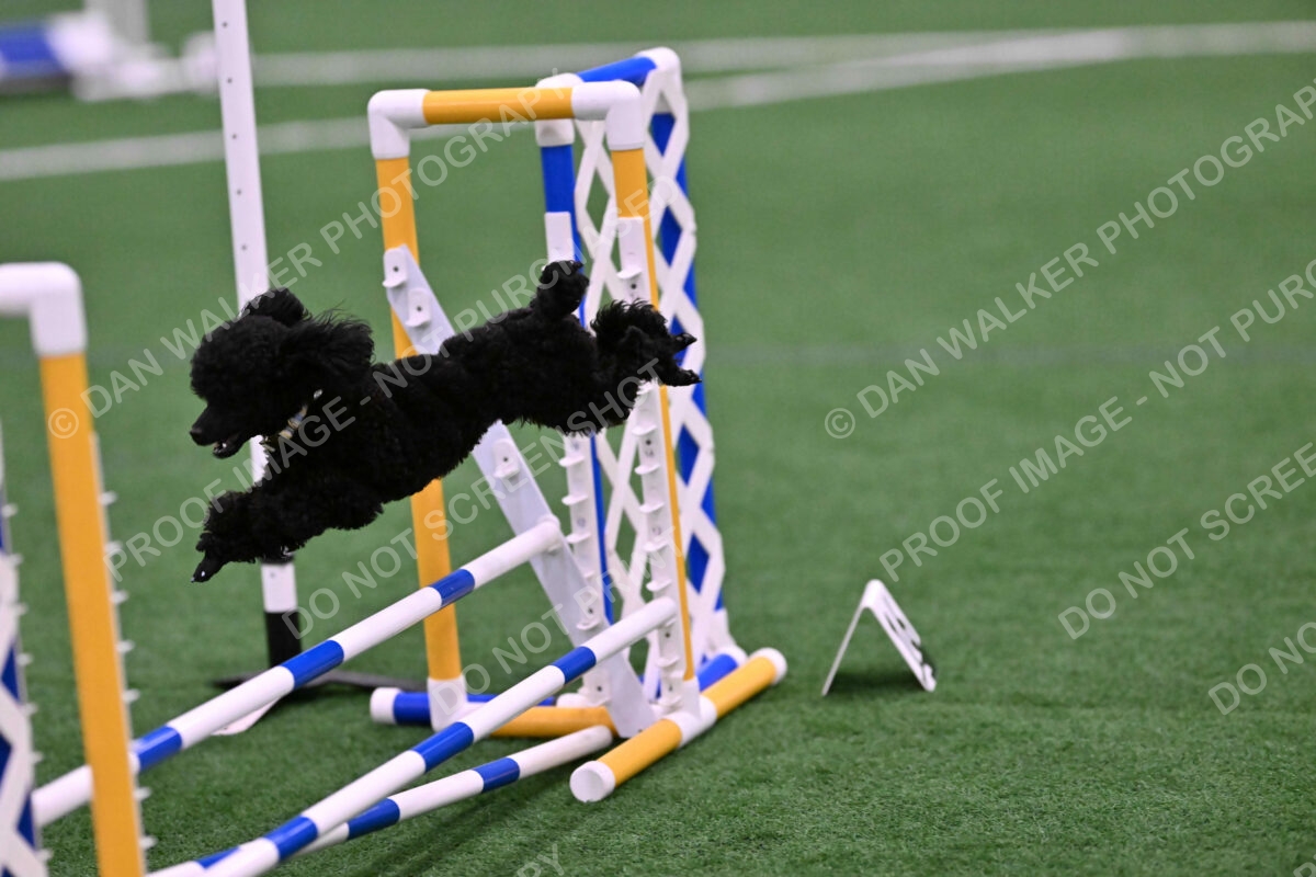 Winston-Madison-Canton-09121