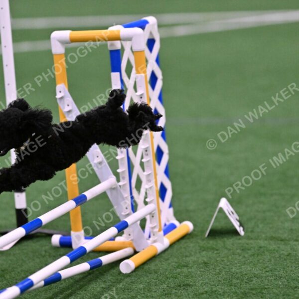 Winston-Madison-Canton-09121