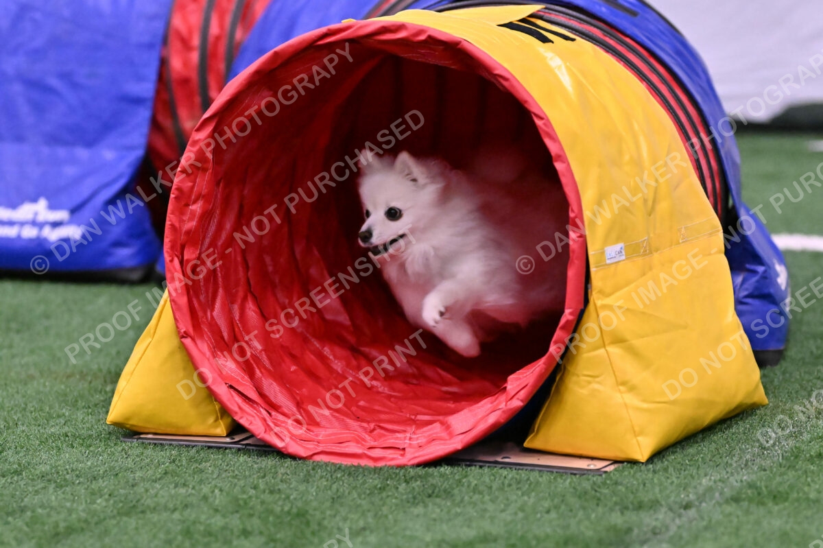 Zoey-Denise-Schneider-00502