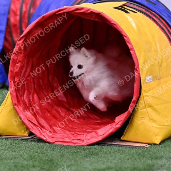 Zoey-Denise-Schneider-00502