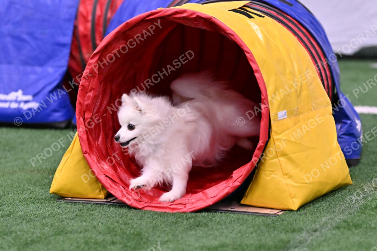 Zoey-Denise-Schneider-00503