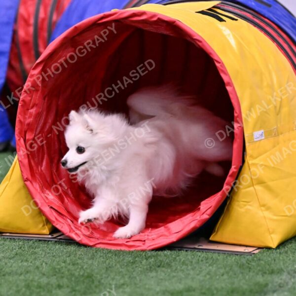 Zoey-Denise-Schneider-00503