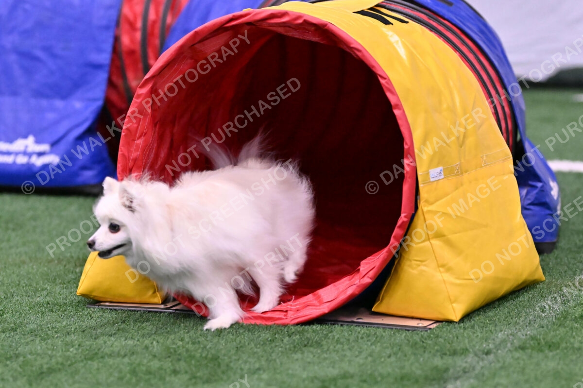 Zoey-Denise-Schneider-00504