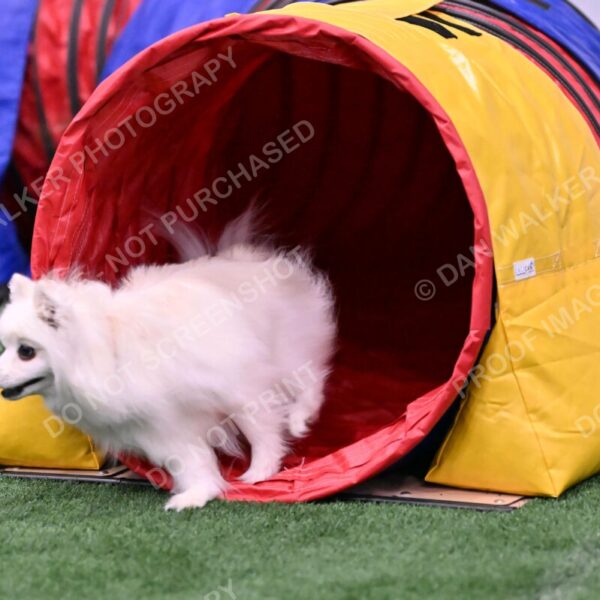 Zoey-Denise-Schneider-00504