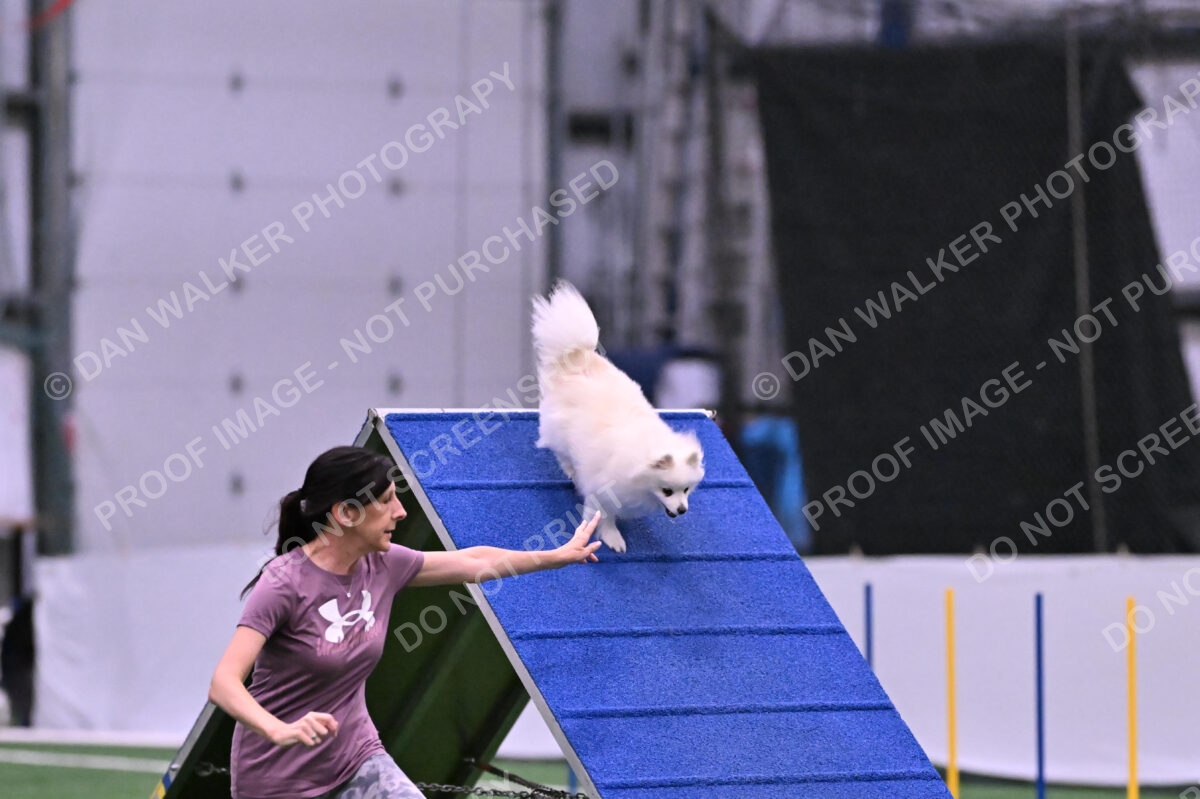 Zoey-Denise-Schneider-00510