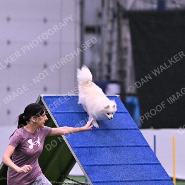 Zoey-Denise-Schneider-00510