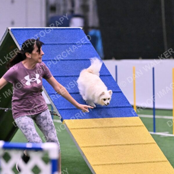 Zoey-Denise-Schneider-00511