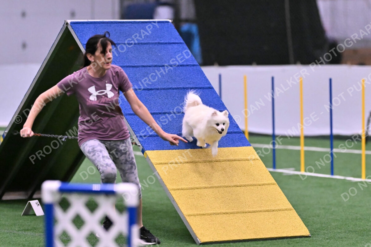 Zoey-Denise-Schneider-00512