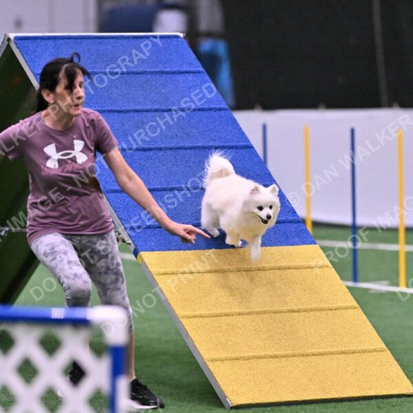 Zoey-Denise-Schneider-00512