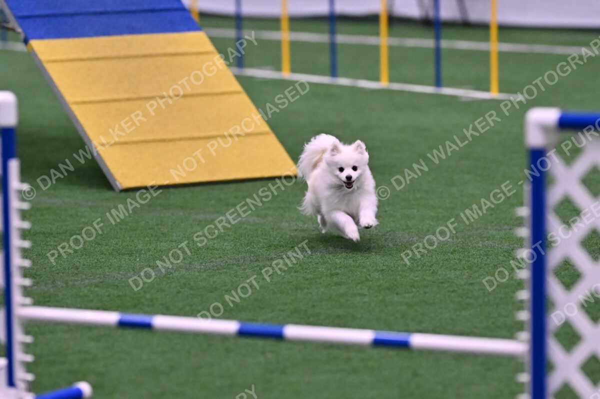 Zoey-Denise-Schneider-00515