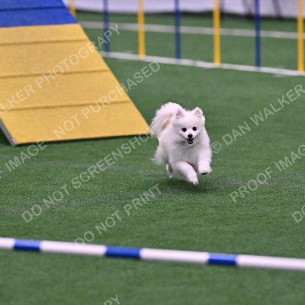 Zoey-Denise-Schneider-00515