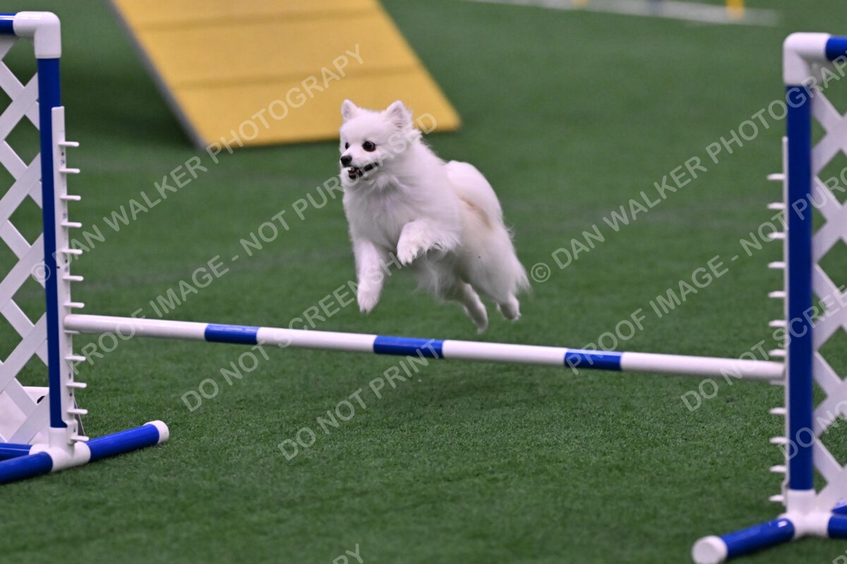 Zoey-Denise-Schneider-00520