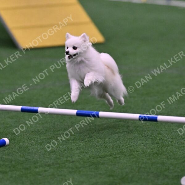 Zoey-Denise-Schneider-00520