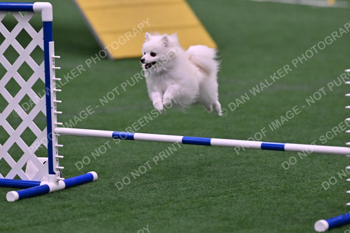 Zoey-Denise-Schneider-00521