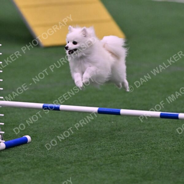 Zoey-Denise-Schneider-00521