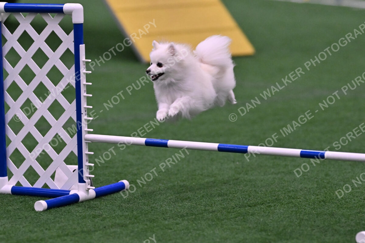 Zoey-Denise-Schneider-00522