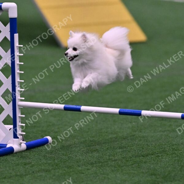 Zoey-Denise-Schneider-00522