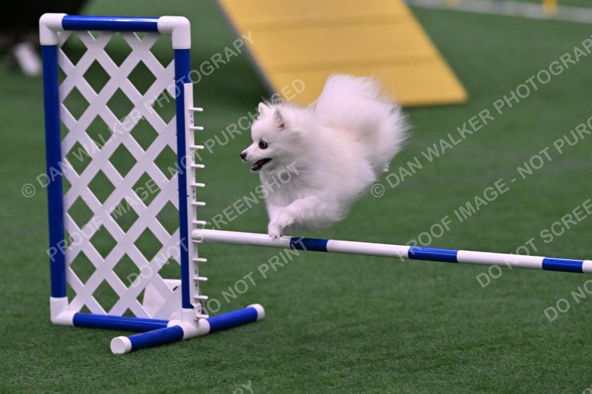 Zoey-Denise-Schneider-00523