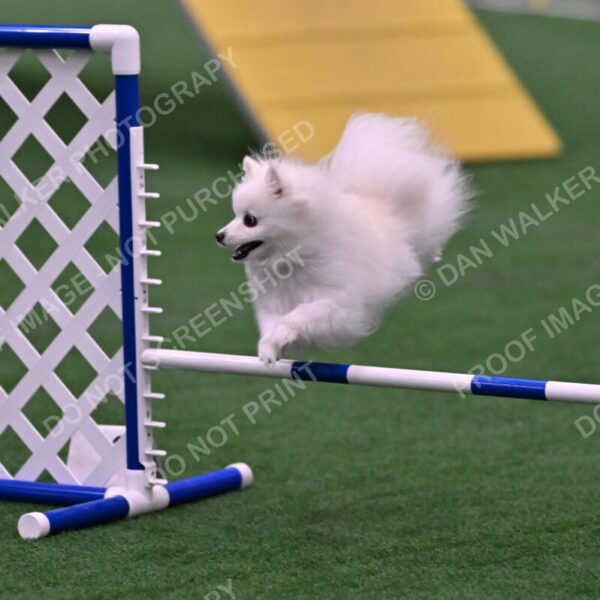 Zoey-Denise-Schneider-00523