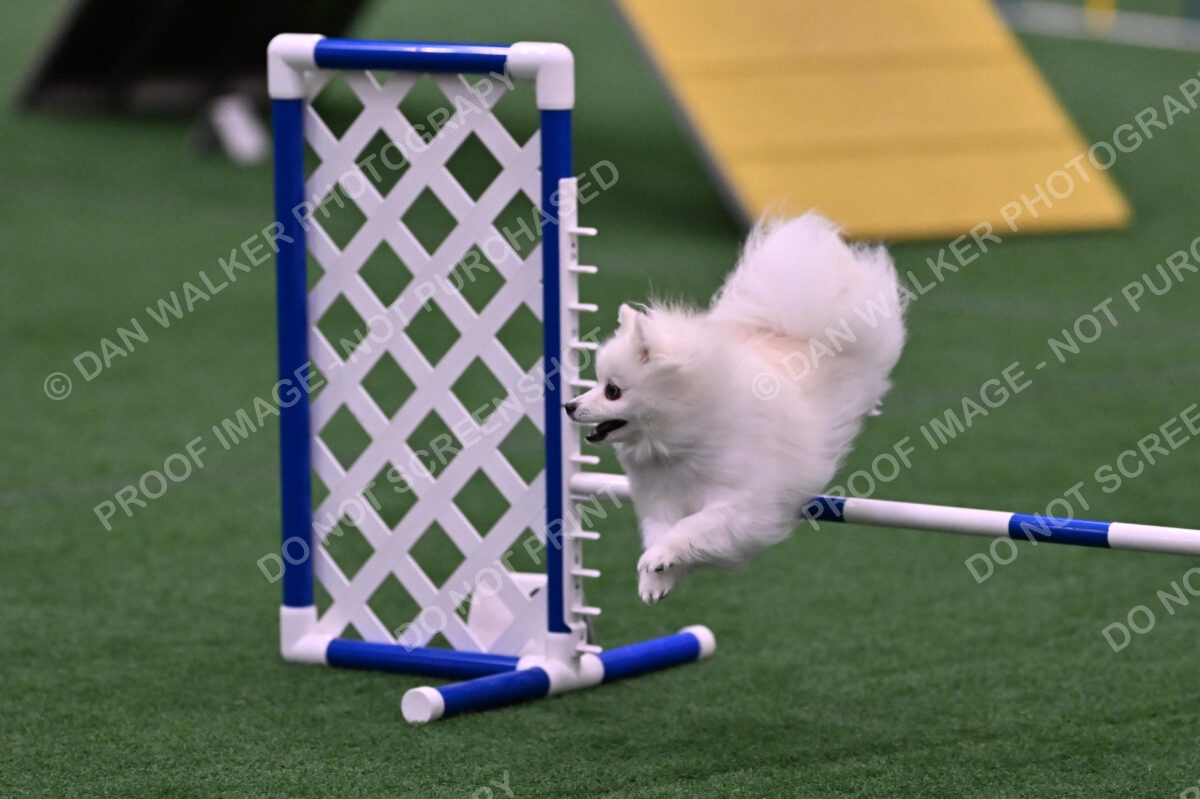 Zoey-Denise-Schneider-00524