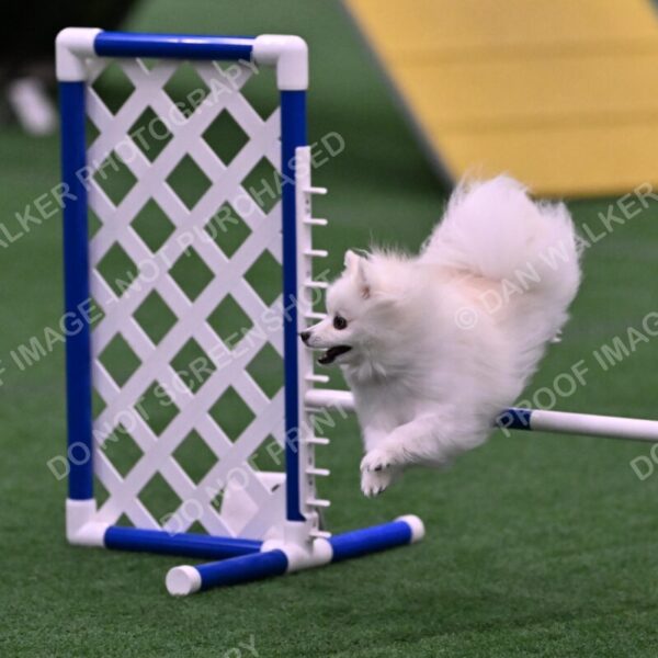 Zoey-Denise-Schneider-00524