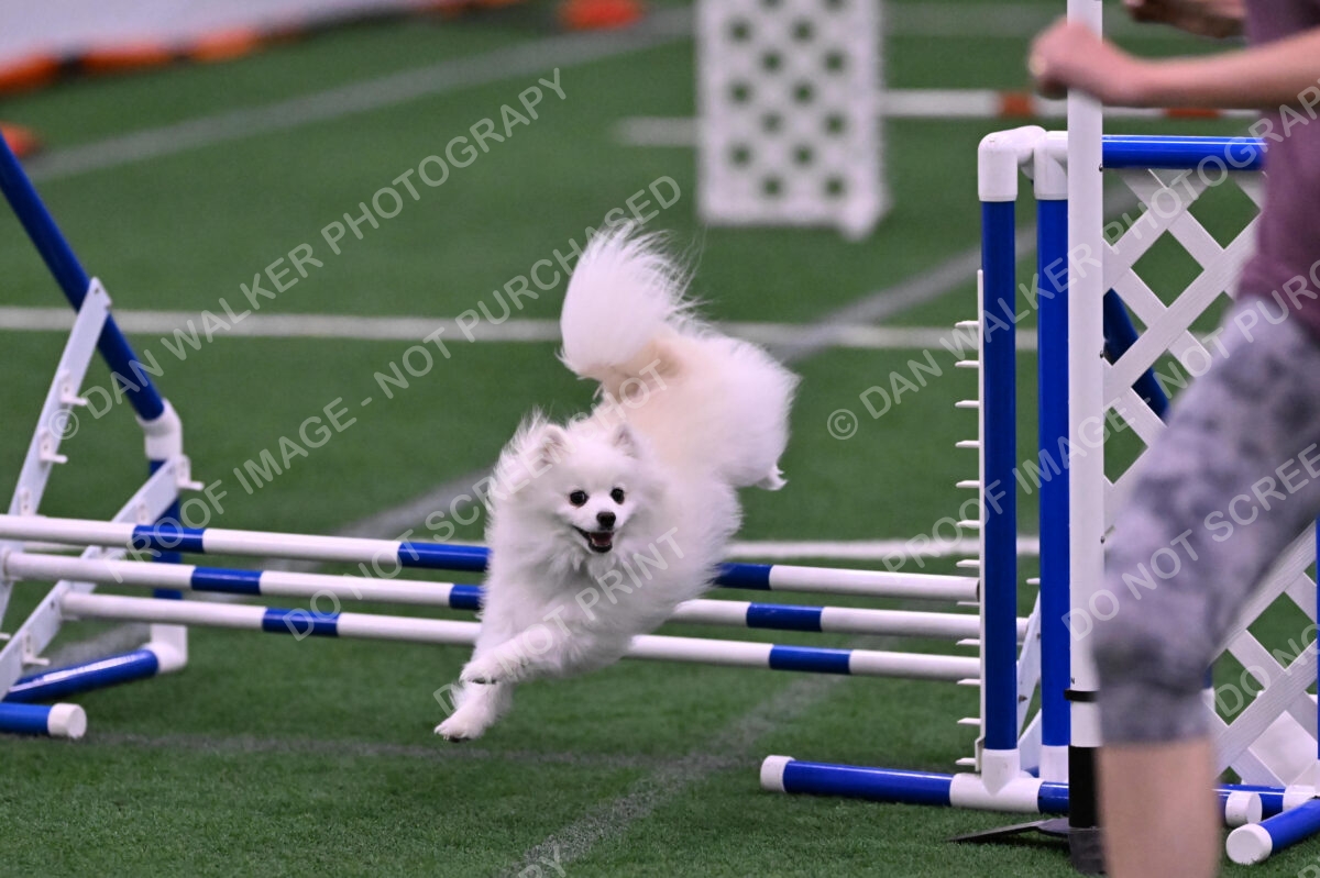 Zoey-Denise-Schneider-00529