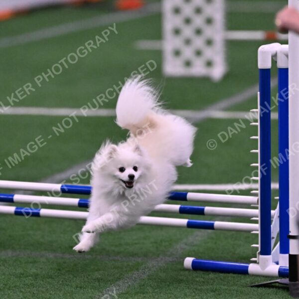 Zoey-Denise-Schneider-00529