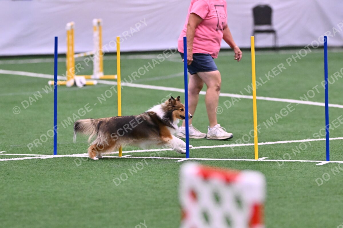 DJW_9554