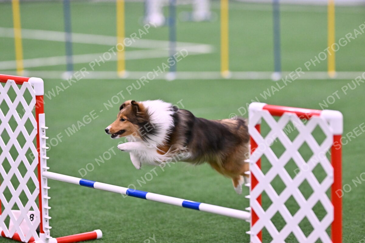 DJW_9585