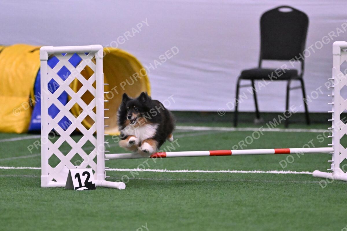 DJW_3077