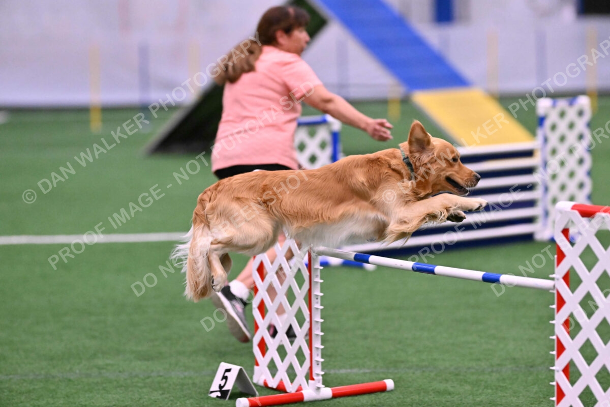 DJW_2964